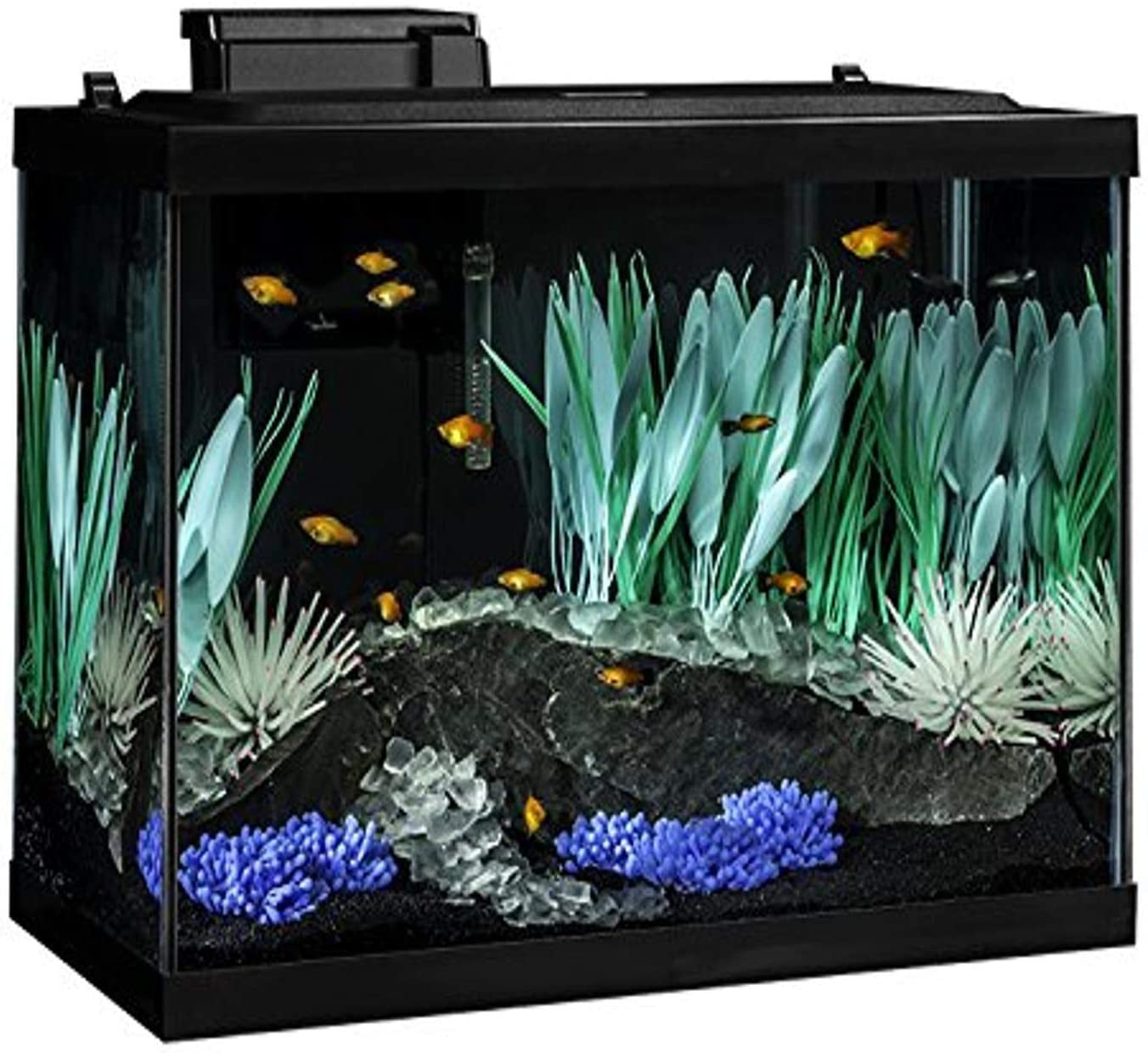 Colorfusion Aquarium 20 Gallon Fish Tank Kit, Includes LED Lighting and Decor