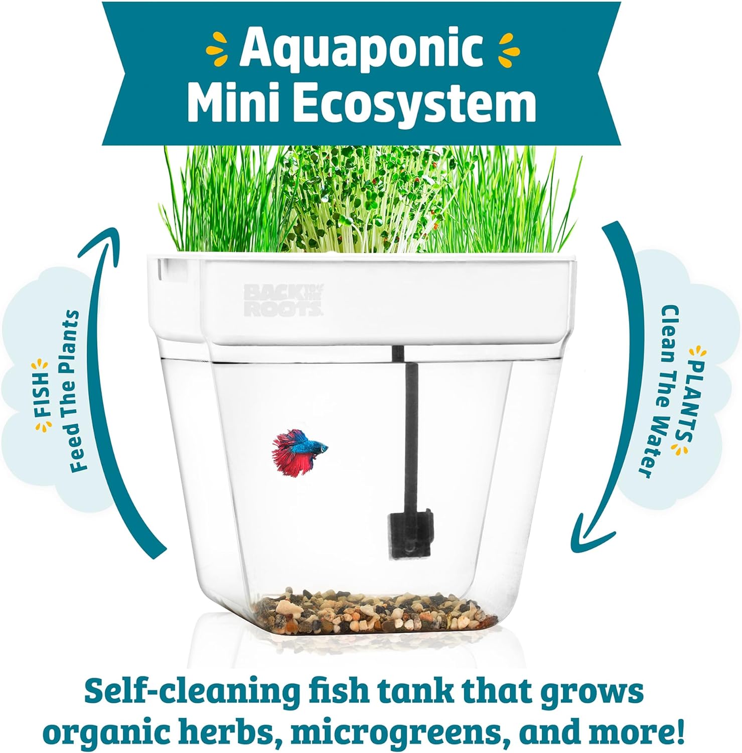 Indoor Aquaponic Garden - 3 Gallon Self Watering, Mess-Free Planter and Self-Cleaning Fishtank for Herbs, Microgreens, Bamboo, Succulents, and Houseplants, Support Fish