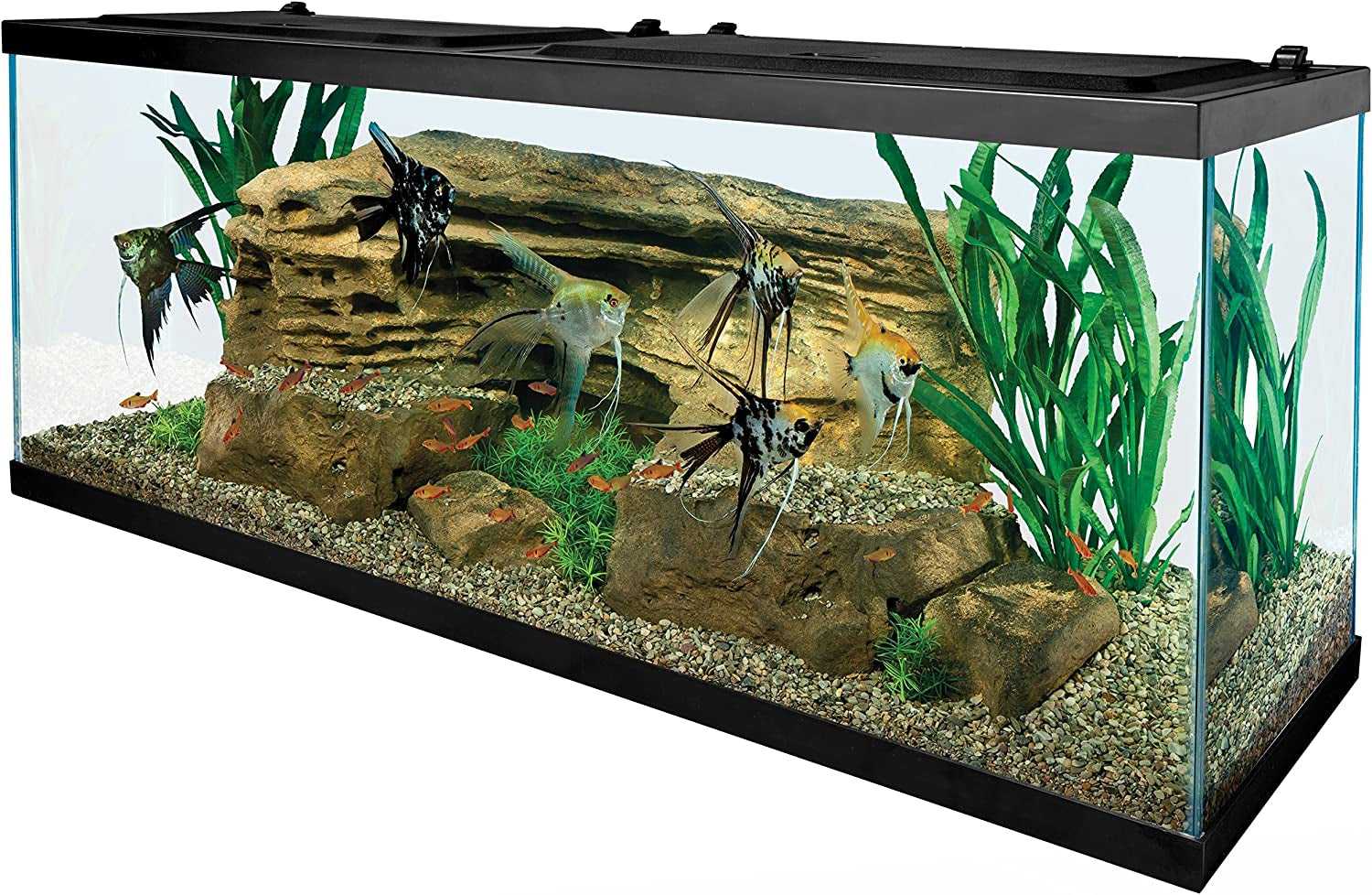 55 Gallon Aquarium Kit with Fish Tank, Fish Net, Fish Food, Filter, Heater and Water Conditioners